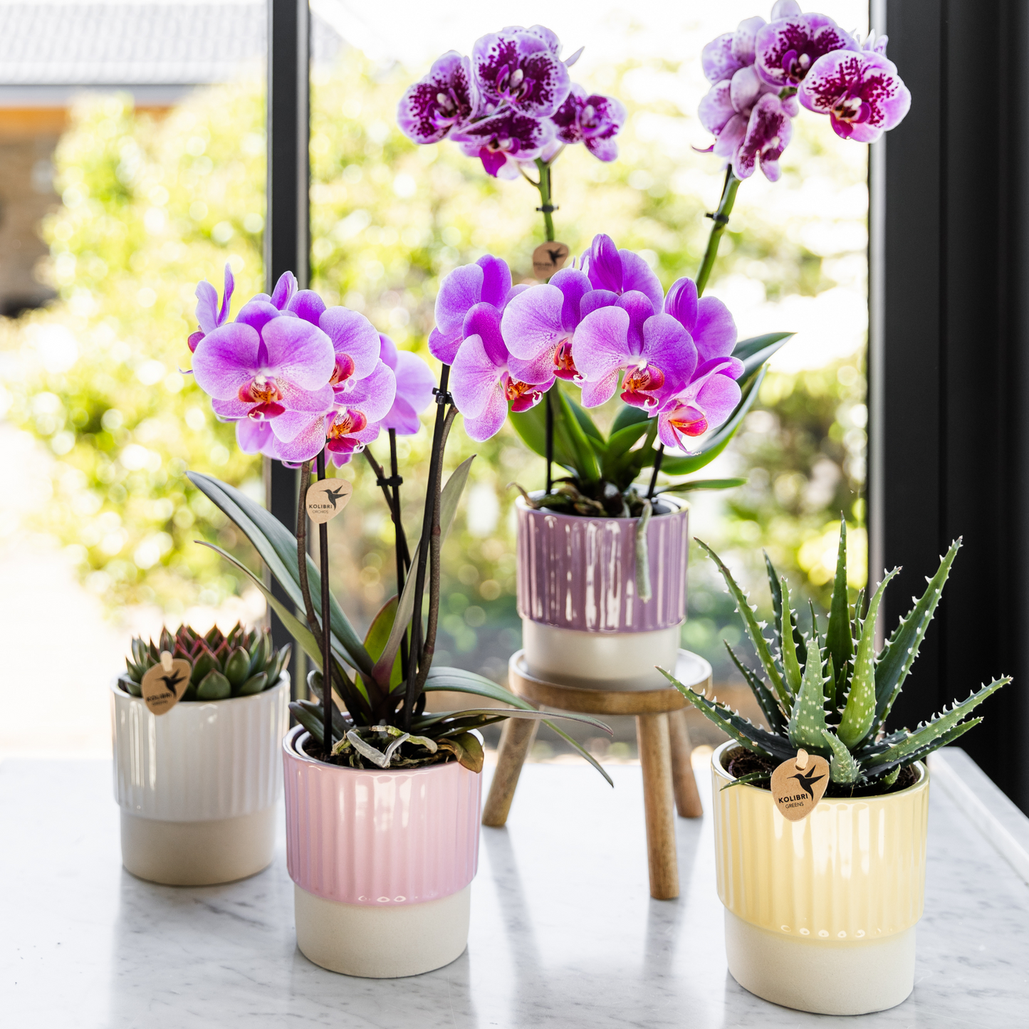 Butter sierpot - Pink