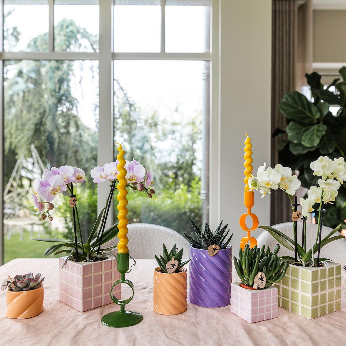 Candy sierpot Hoog Peach