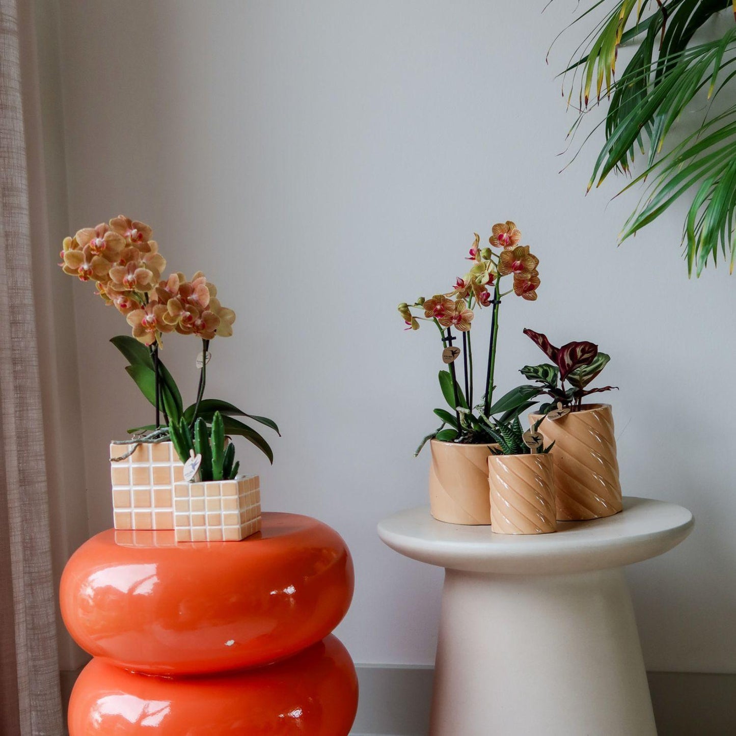 Candy sierpot Hoog Peach