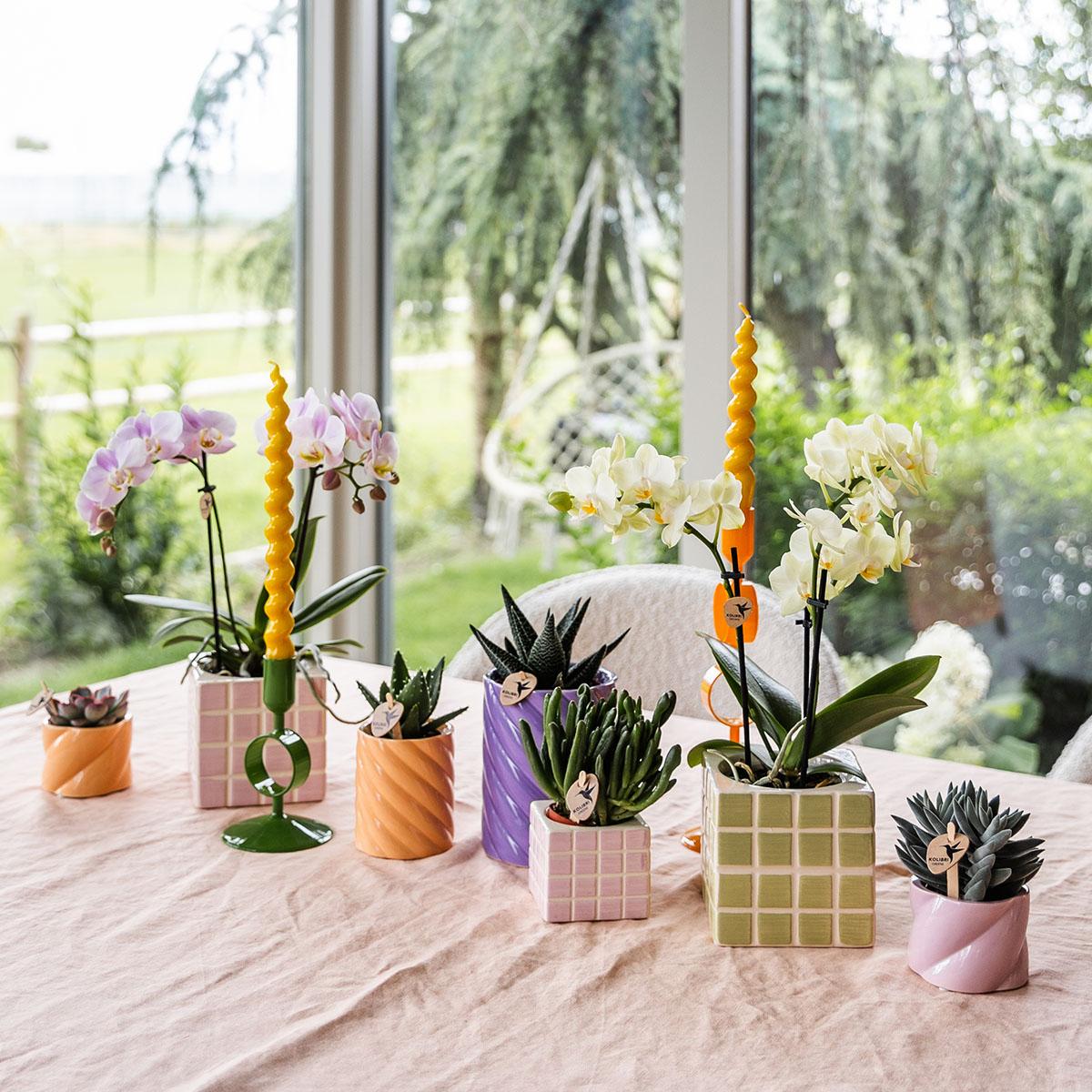 Candy sierpot Hoog Peach