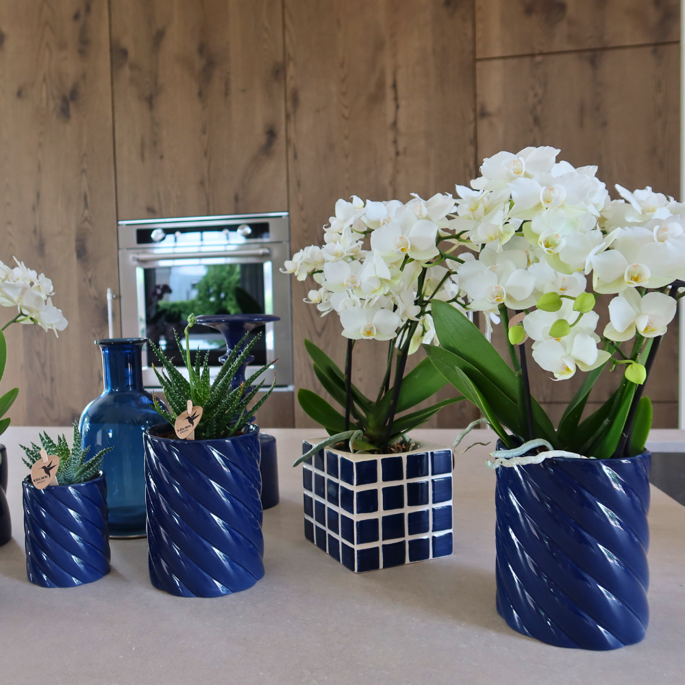 Candy sierpot Hoog - Blue