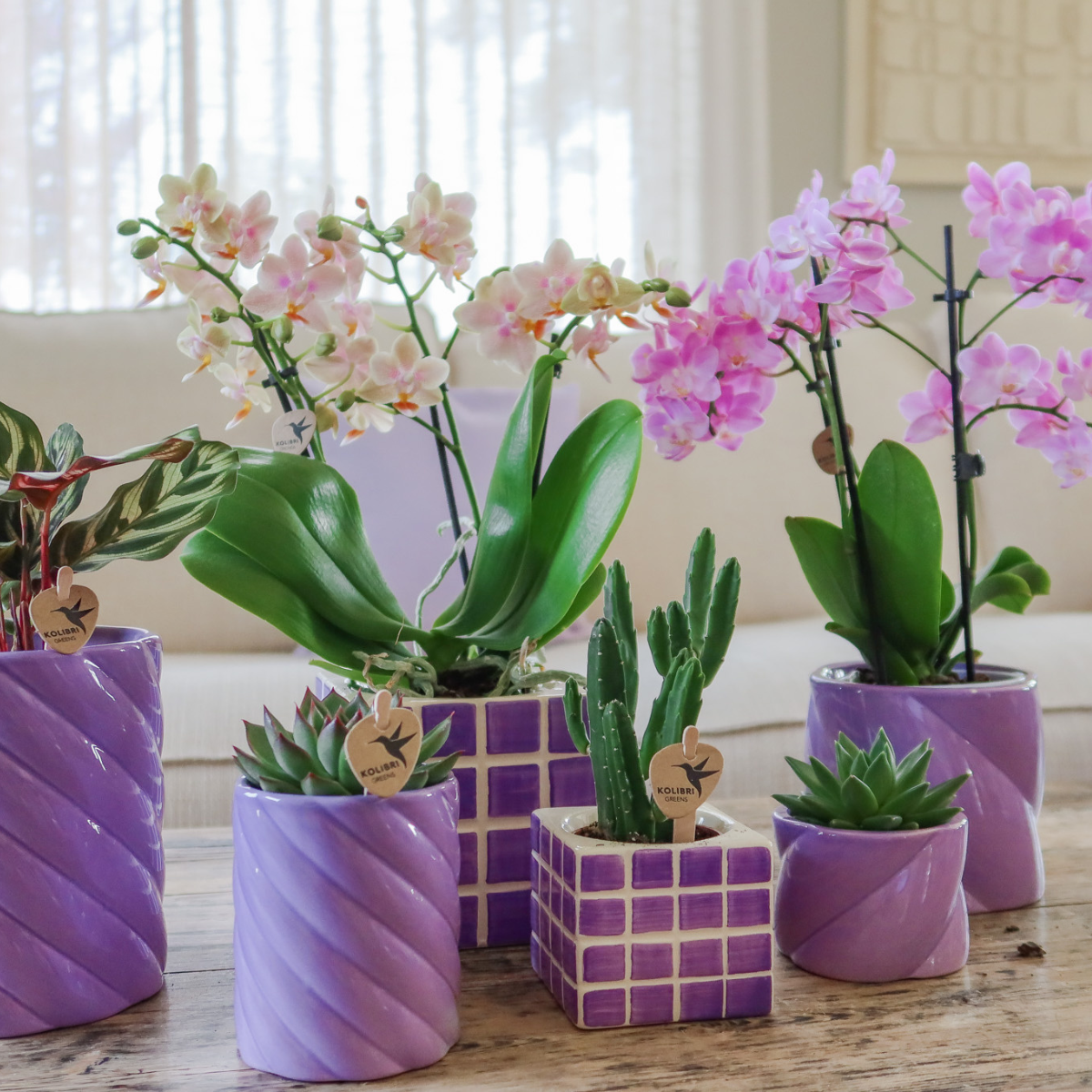 Mosa sierpot - Lilac - Ø6cm