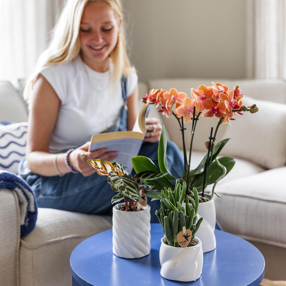 Candy sierpot Hoog White