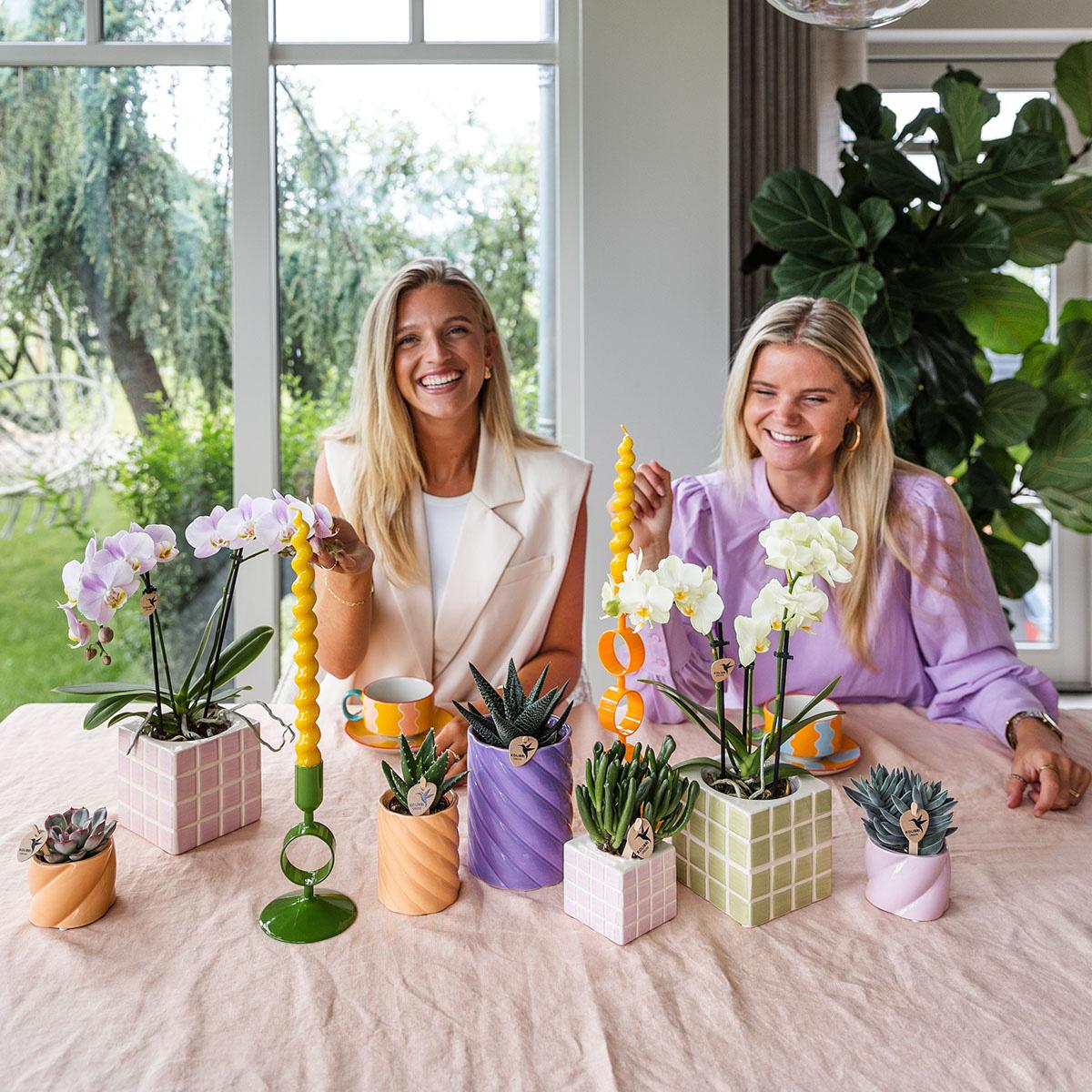 Candy sierpot Hoog Peach