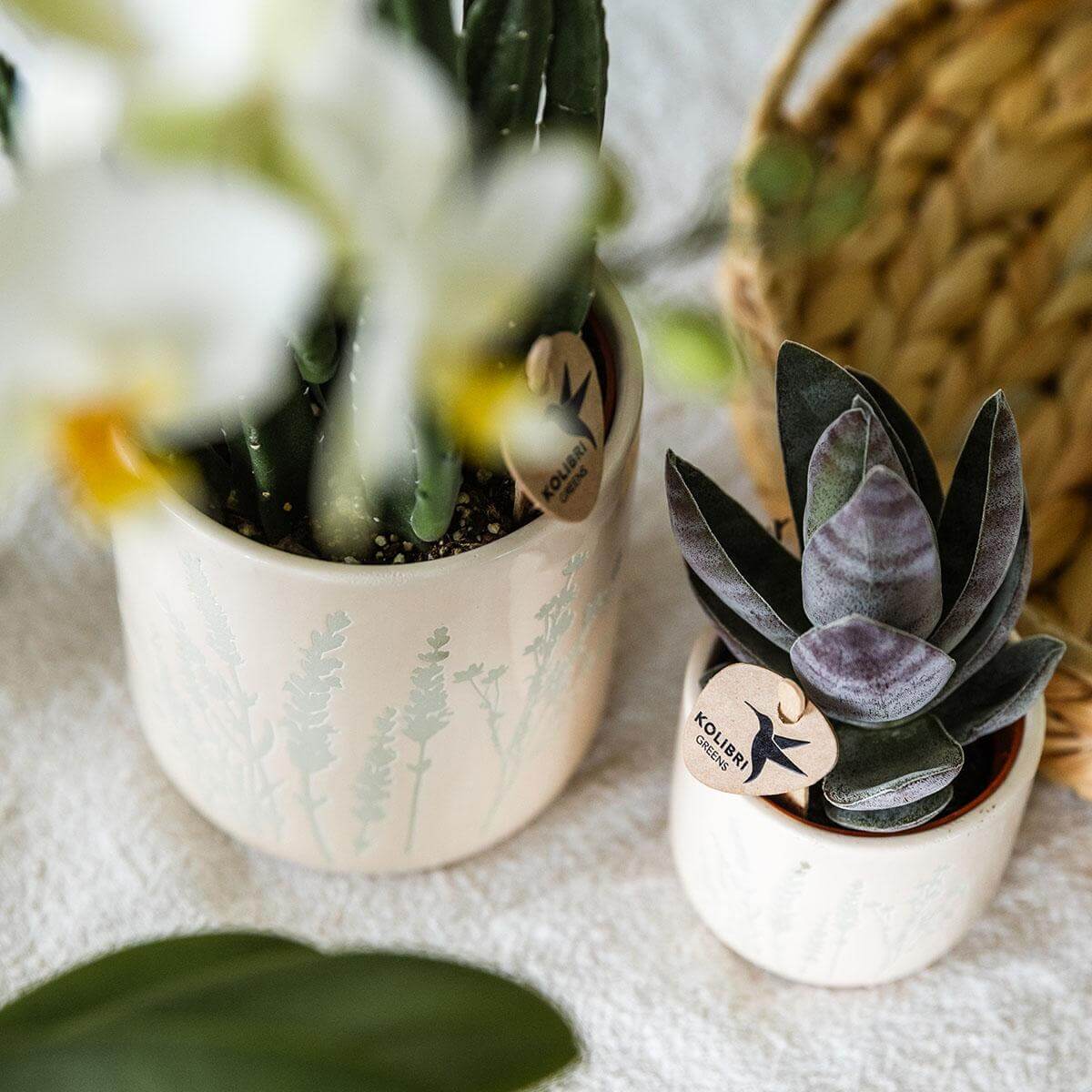 Floral bloempot - Light Blue