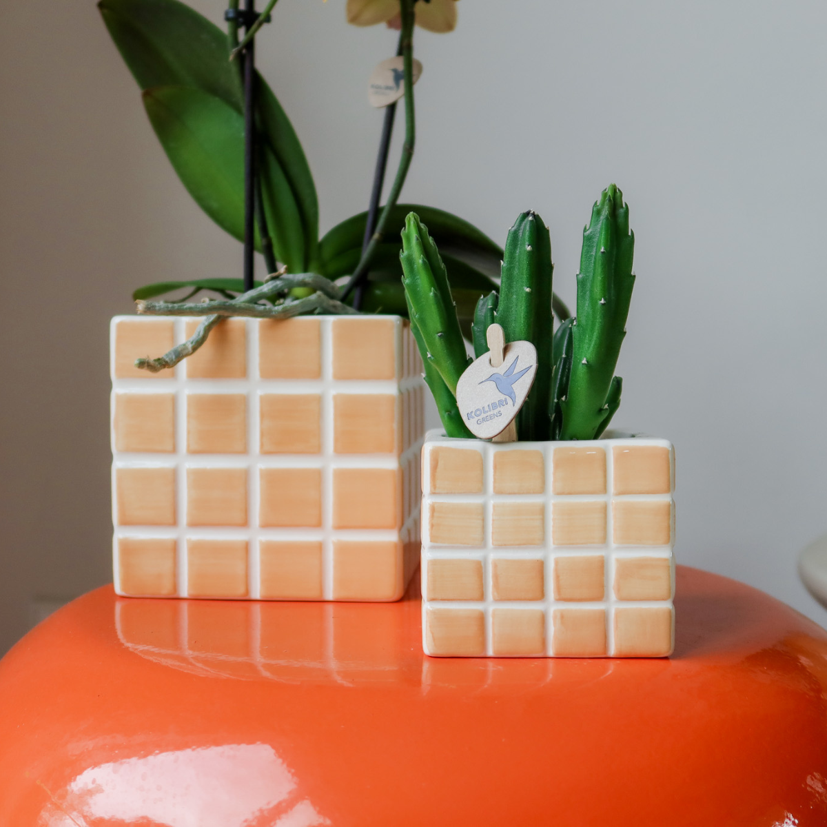 Mosa sierpot - Orange - Ø6cm