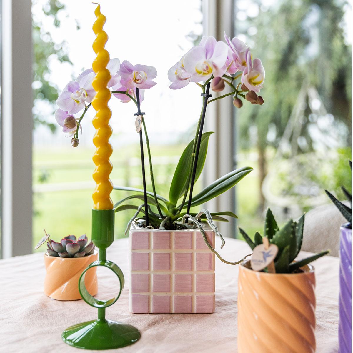 Candy sierpot Hoog Peach