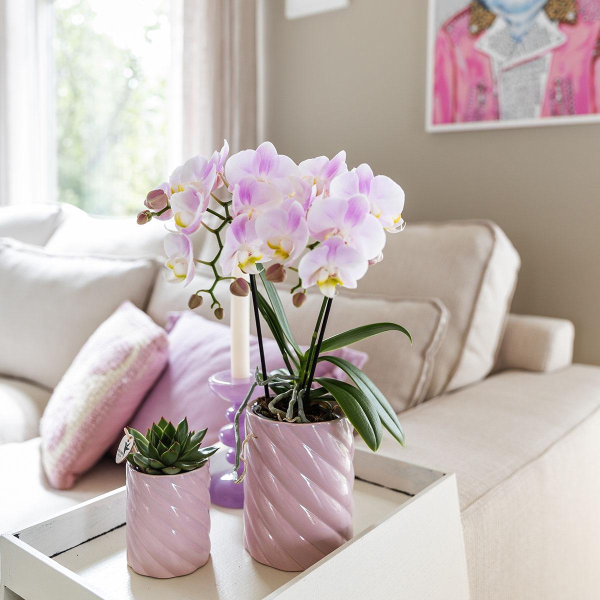 Candy sierpot Hoog - Pink