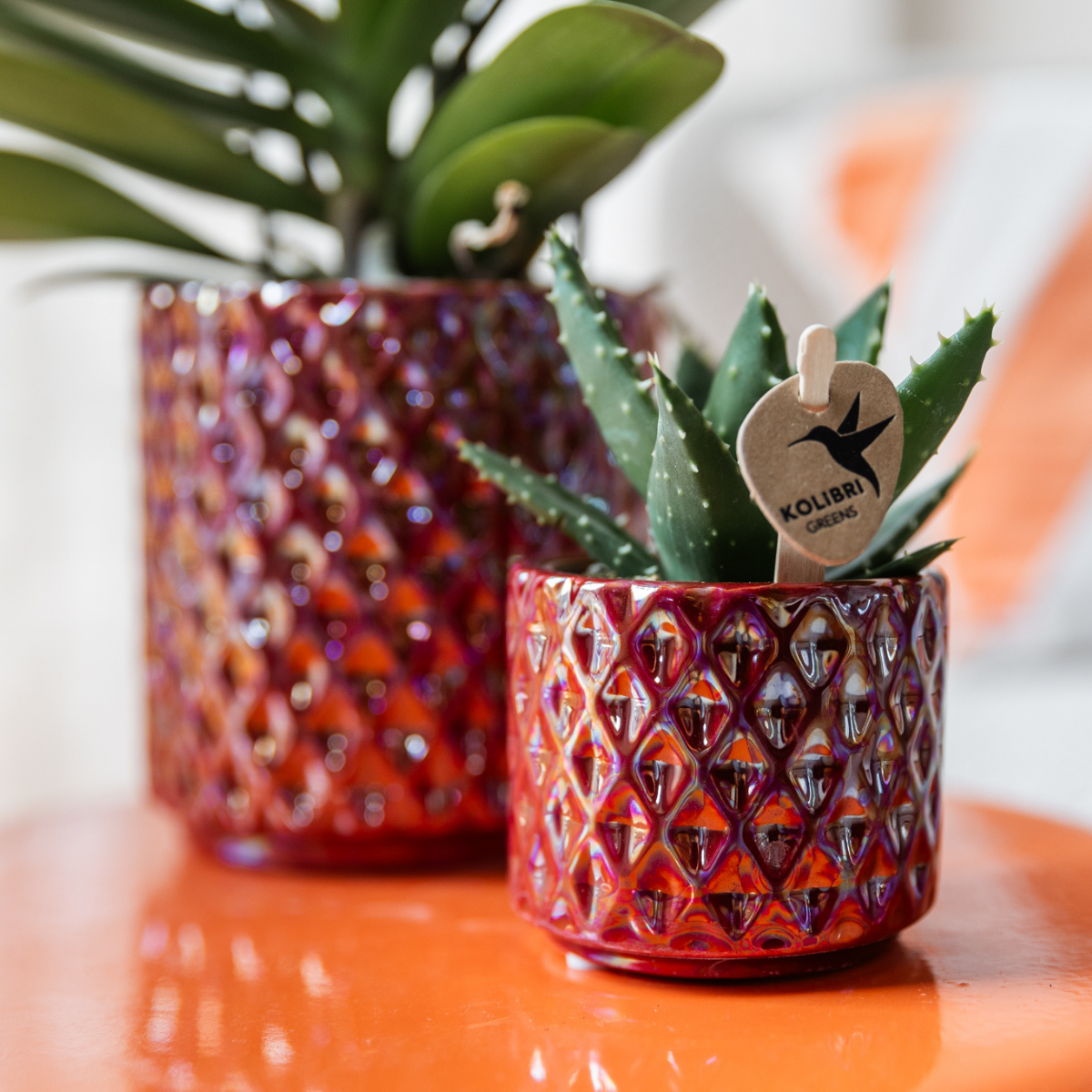 Diamond pearl sierpot - Red - Ø6cm