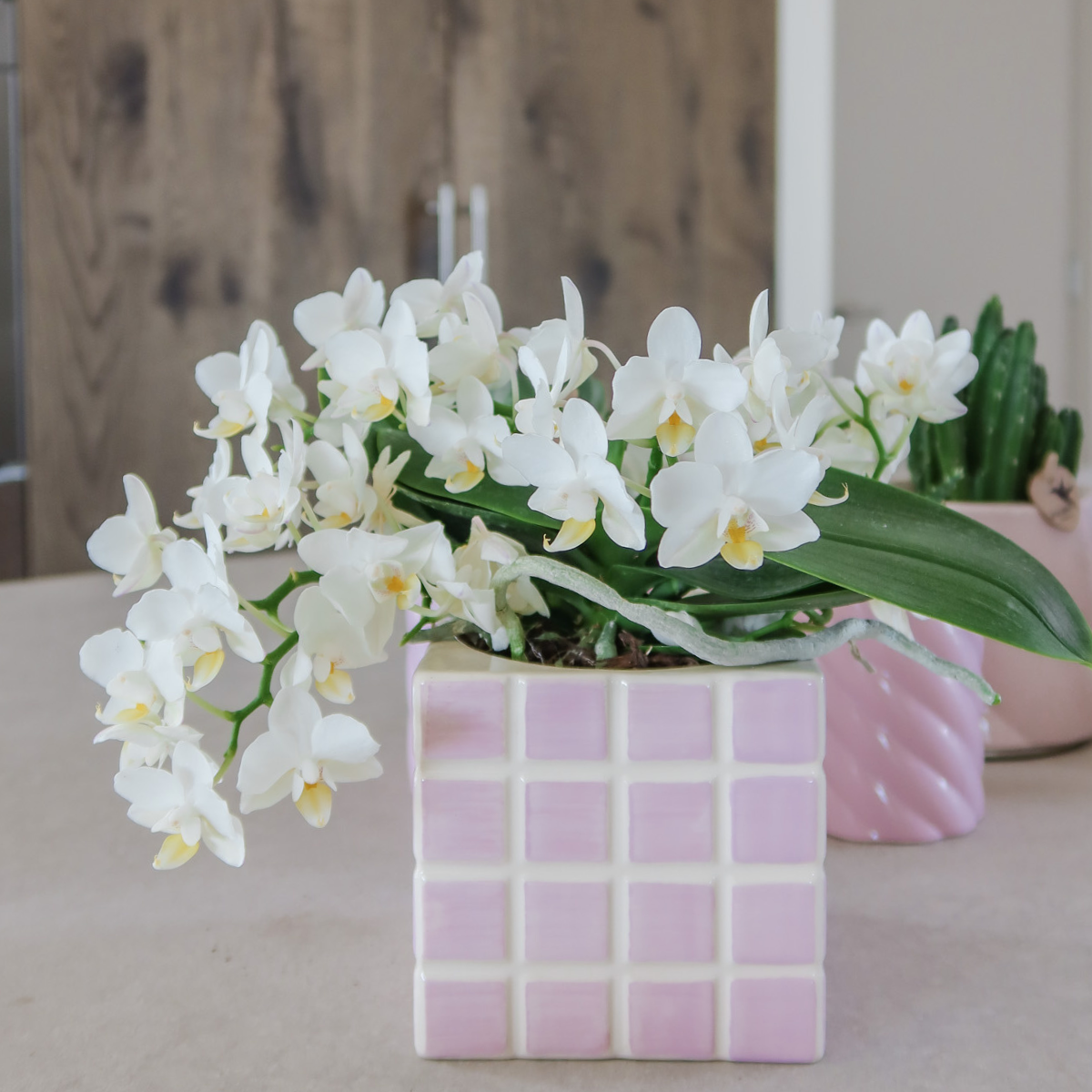 Mosa sierpot - Pink