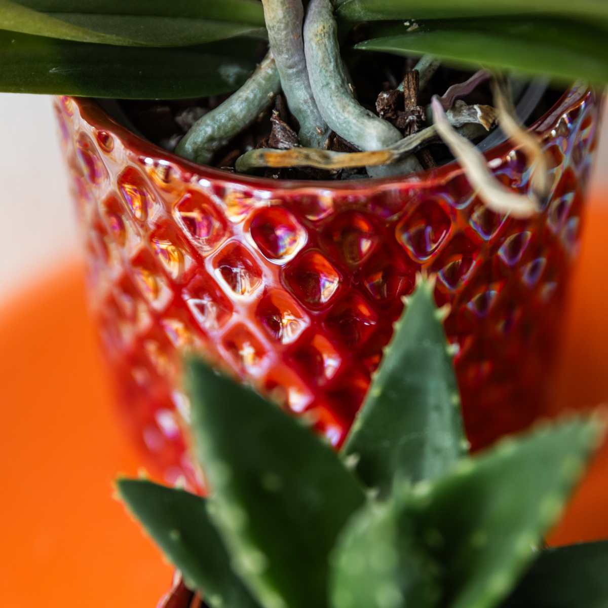 Diamond pearl sierpot - Red - Ø9cm