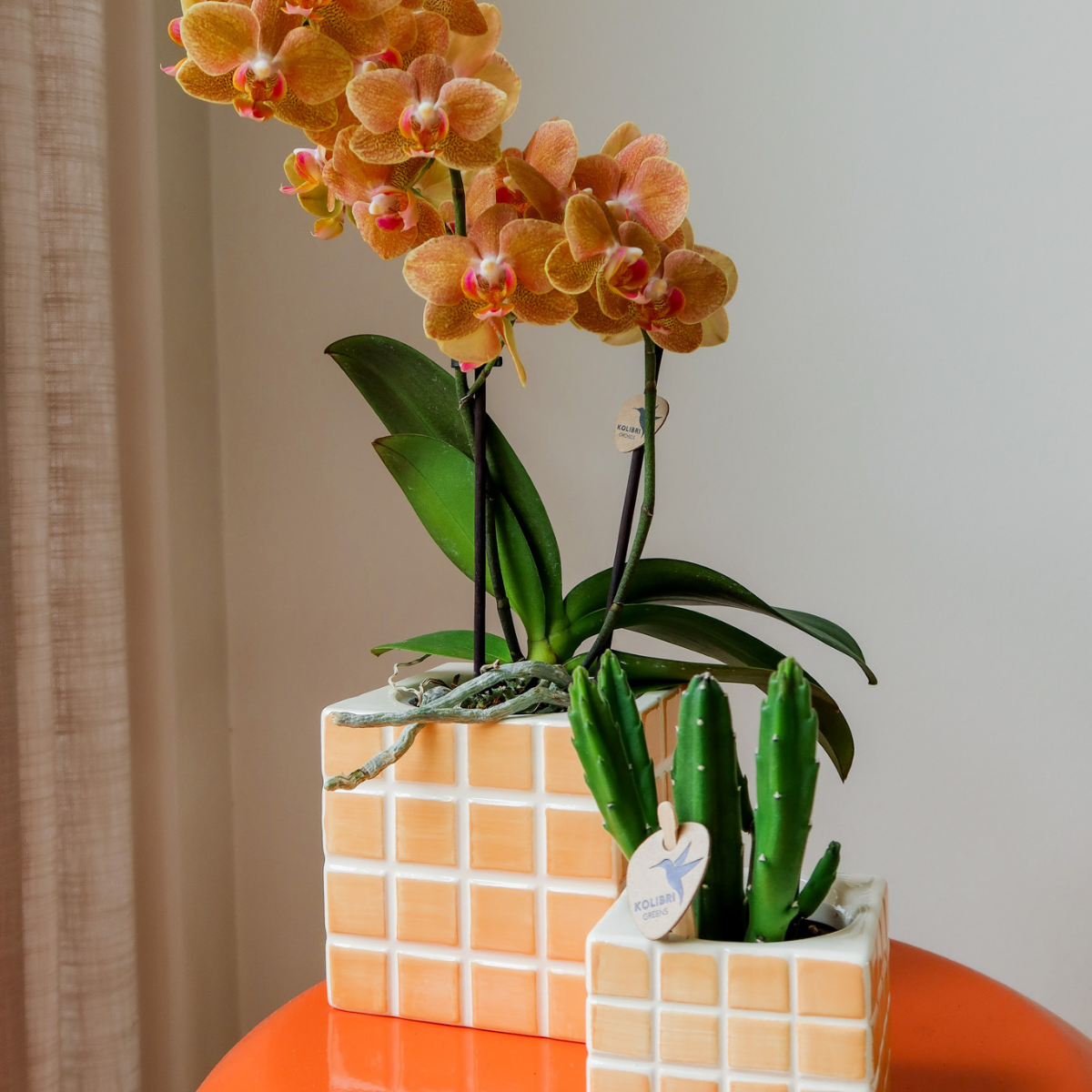 Mosa sierpot - Orange - Ø6cm