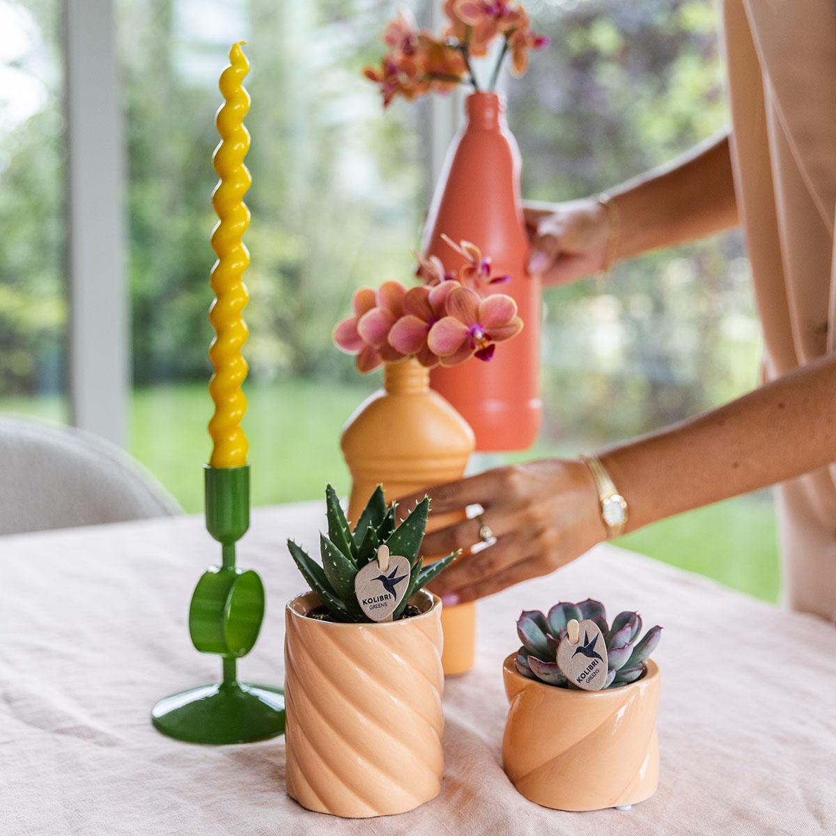 Candy sierpot Hoog Peach