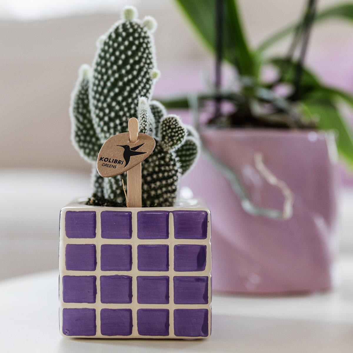 Mosa sierpot - Lilac - Ø6cm