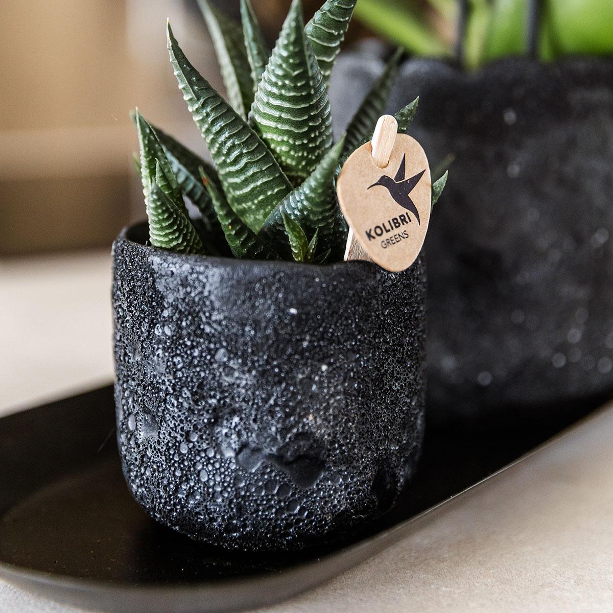 Moon sierpot - Black - Ø9cm