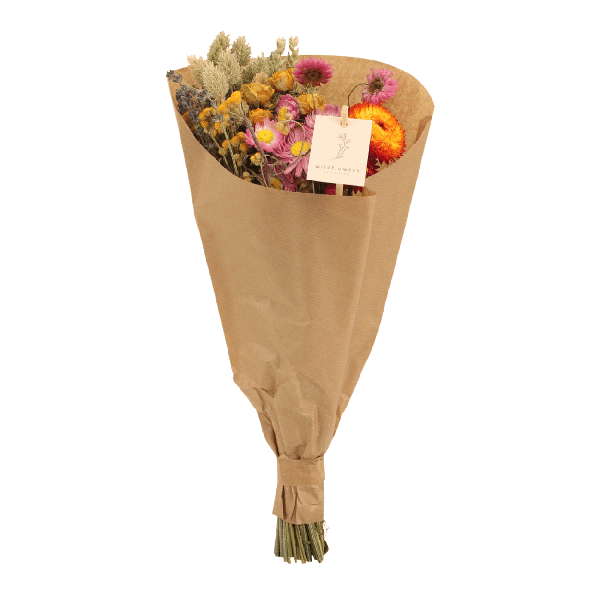 Droogbloemen Field Bouquet Multi