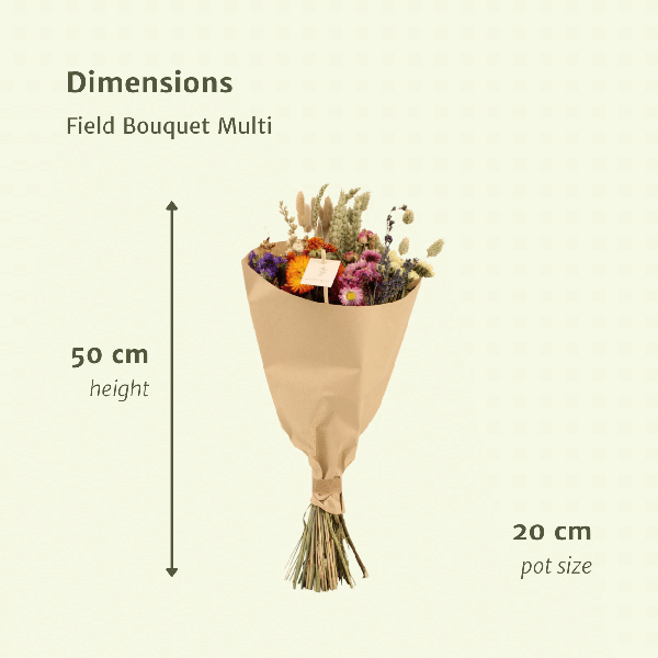 Droogbloemen Field Bouquet Multi