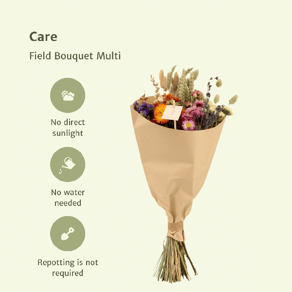 Droogbloemen Field Bouquet Multi