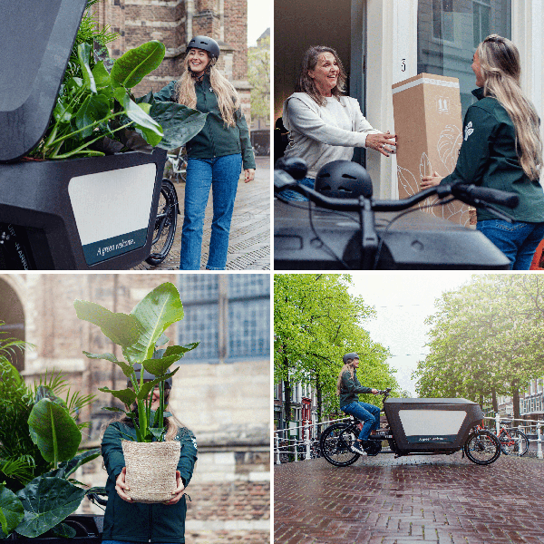 Sansevieria in Cilinderglas – Stijlvolle Groenblijver voor Elk Interieur
