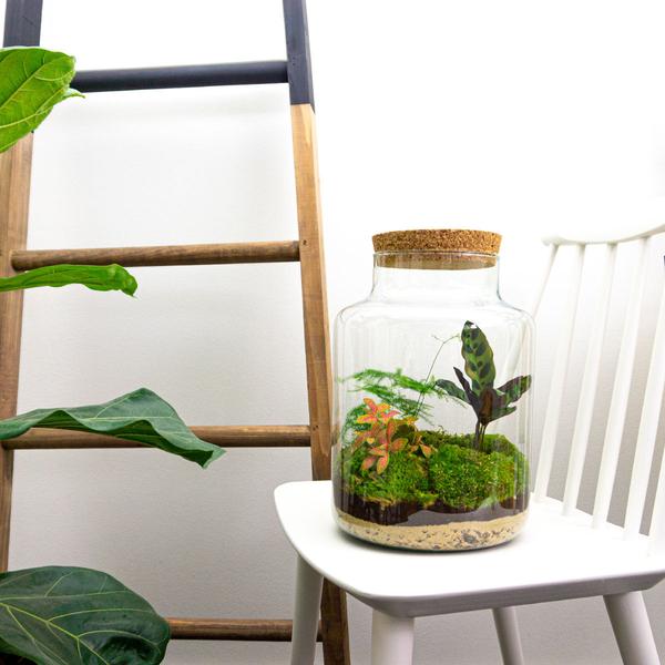 Terrarium - Milky