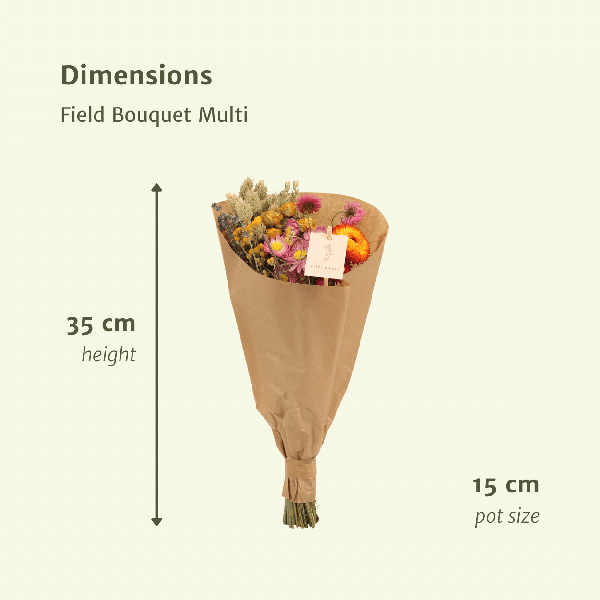 Droogbloemen Field Bouquet Multi