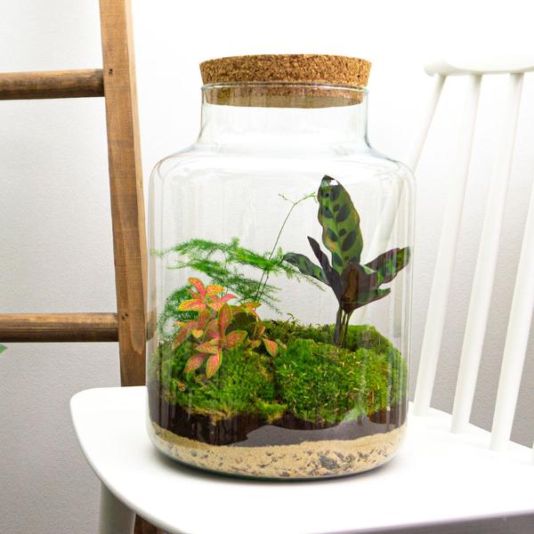 Terrarium - Milky