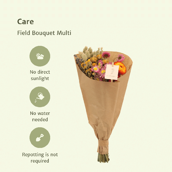 Droogbloemen Field Bouquet Multi