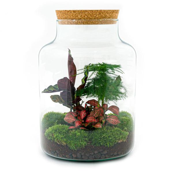 Terrarium - Milky