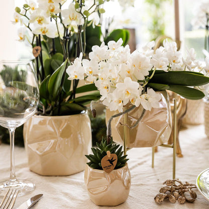 Combi deal - Pearl travertine potten