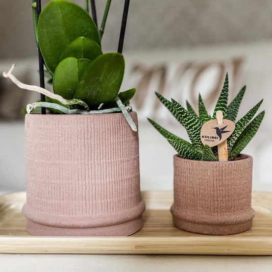 Bali sierpot  - Sand - Ø6cm