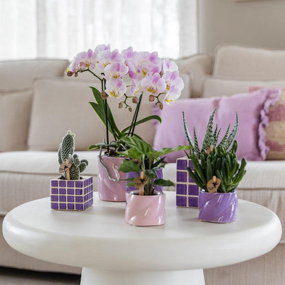 Mosa sierpot - Lilac - Ø6cm
