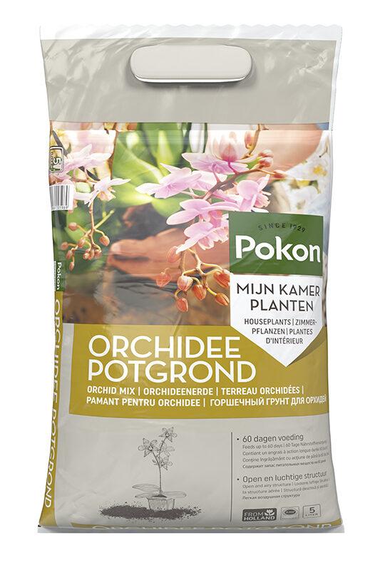 Potgrond Orchidee