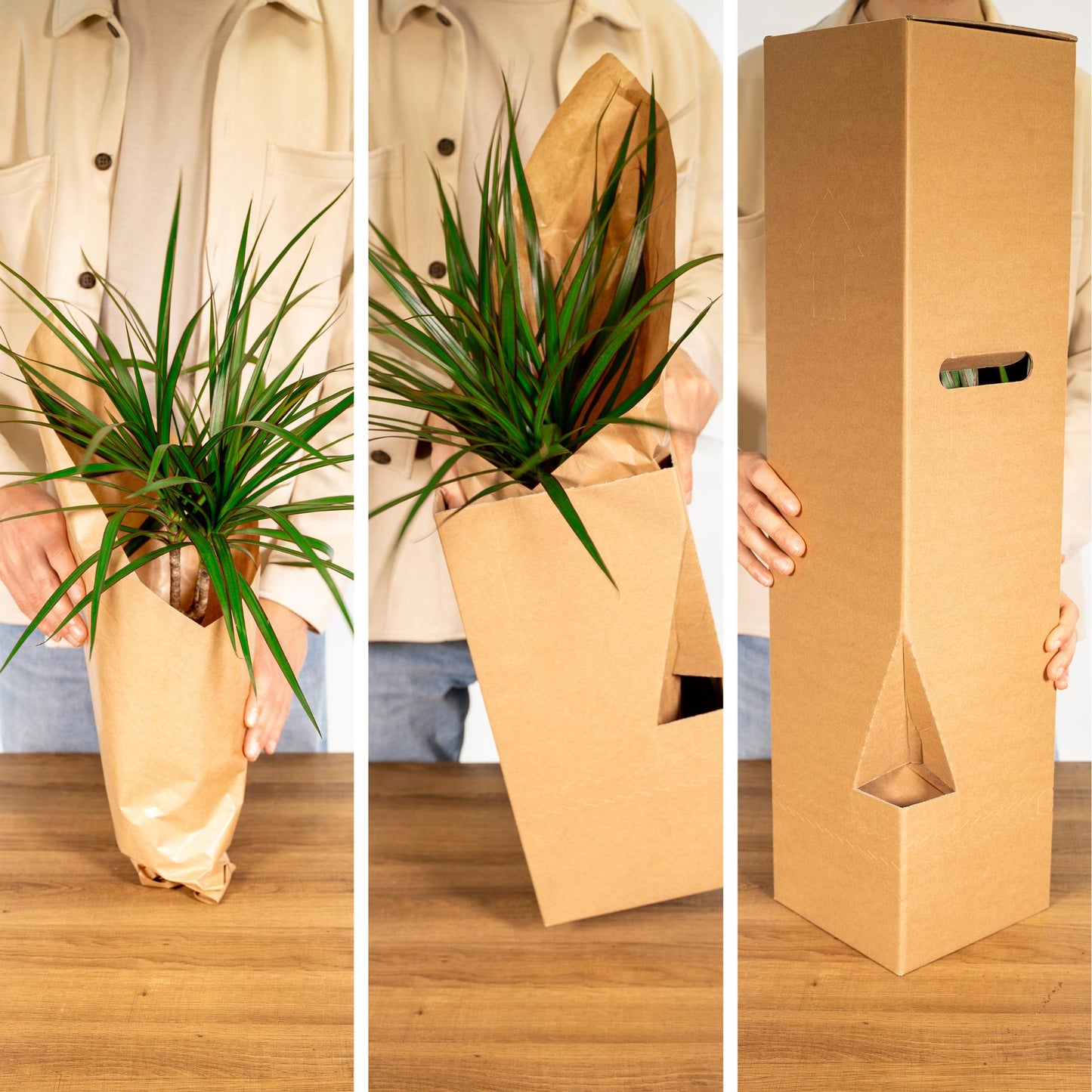 Verrassingsbox