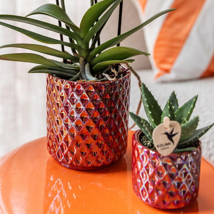 Diamond pearl sierpot - Red - Ø9cm
