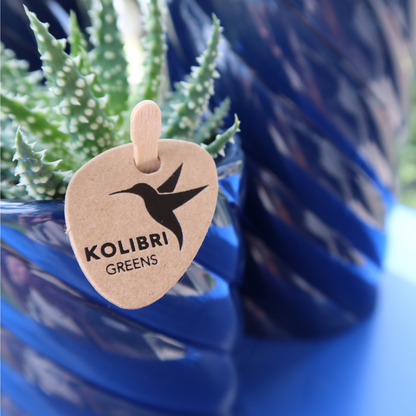 Candy sierpot Hoog - Blue