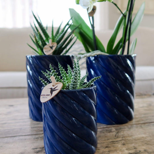 Candy sierpot Hoog - Blue