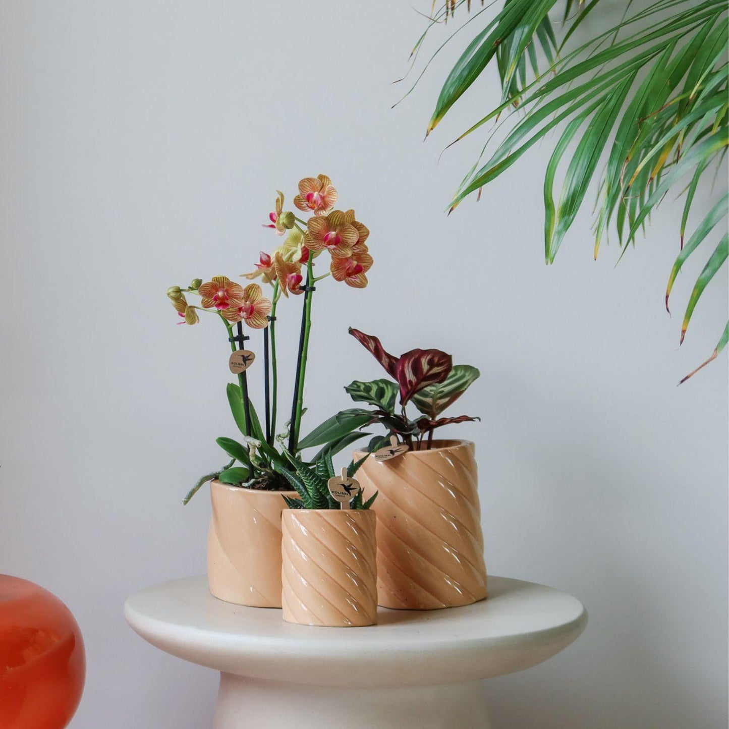 Candy sierpot Hoog Peach