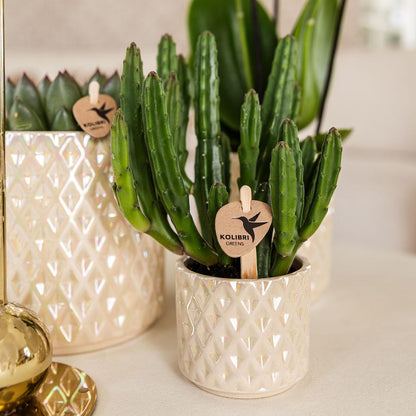 Diamond pearl sierpot - Travertine - Ø6cm