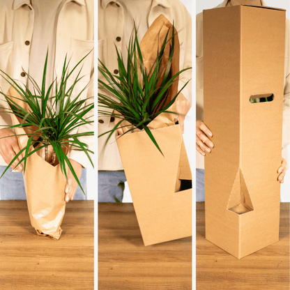 Verrassingsbox