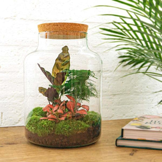 Terrarium - Milky