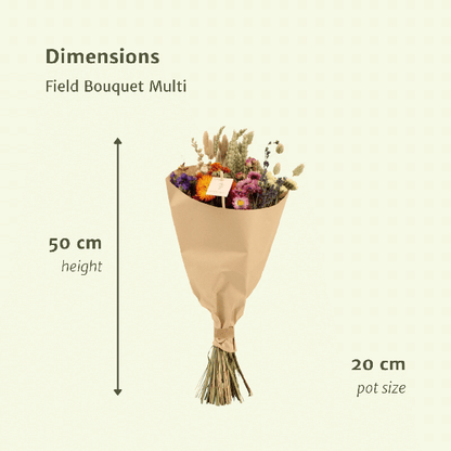 Droogbloemen Field Bouquet Multi
