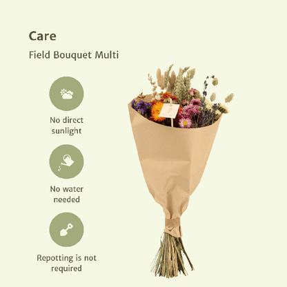 Droogbloemen Field Bouquet Multi