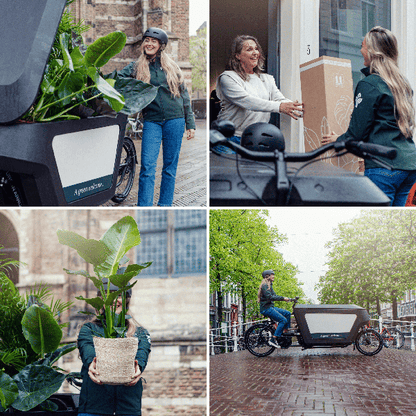 Sansevieria in Cilinderglas – Stijlvolle Groenblijver voor Elk Interieur