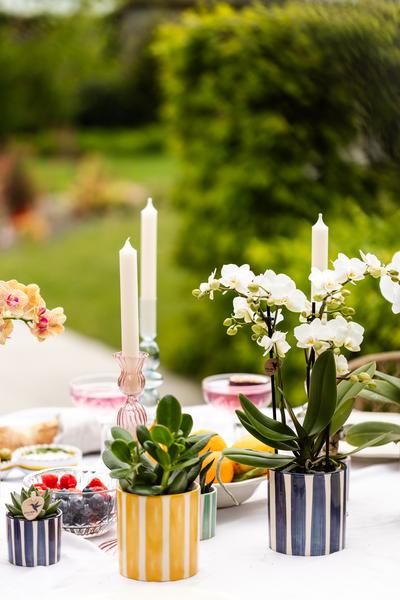 Mix van groene en bloeiende planten + Painted Stripe sierpotten
