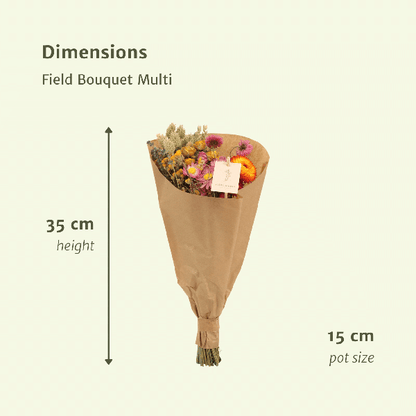 Droogbloemen Field Bouquet Multi