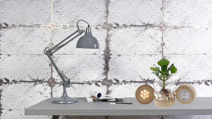 Clusia In Kingston Glas + LED