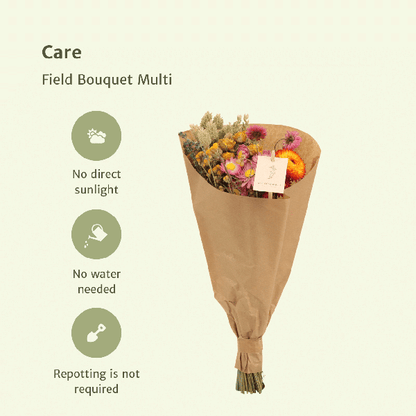 Droogbloemen Field Bouquet Multi